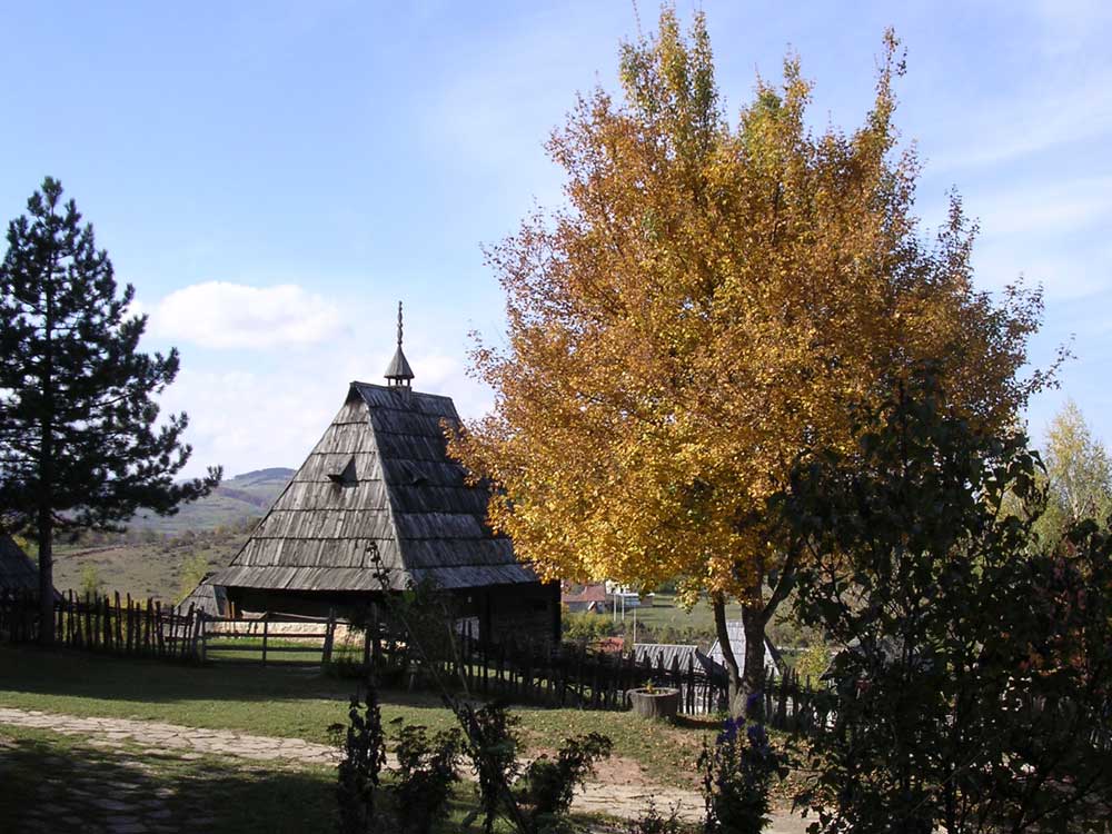 Izleti