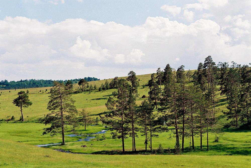 Zlatibor kroz Vekove