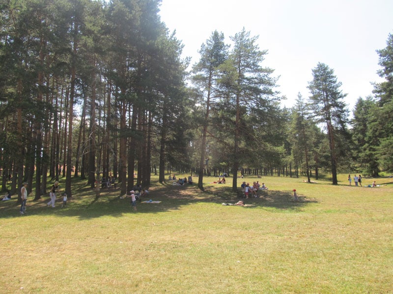 Planina Zlatibor