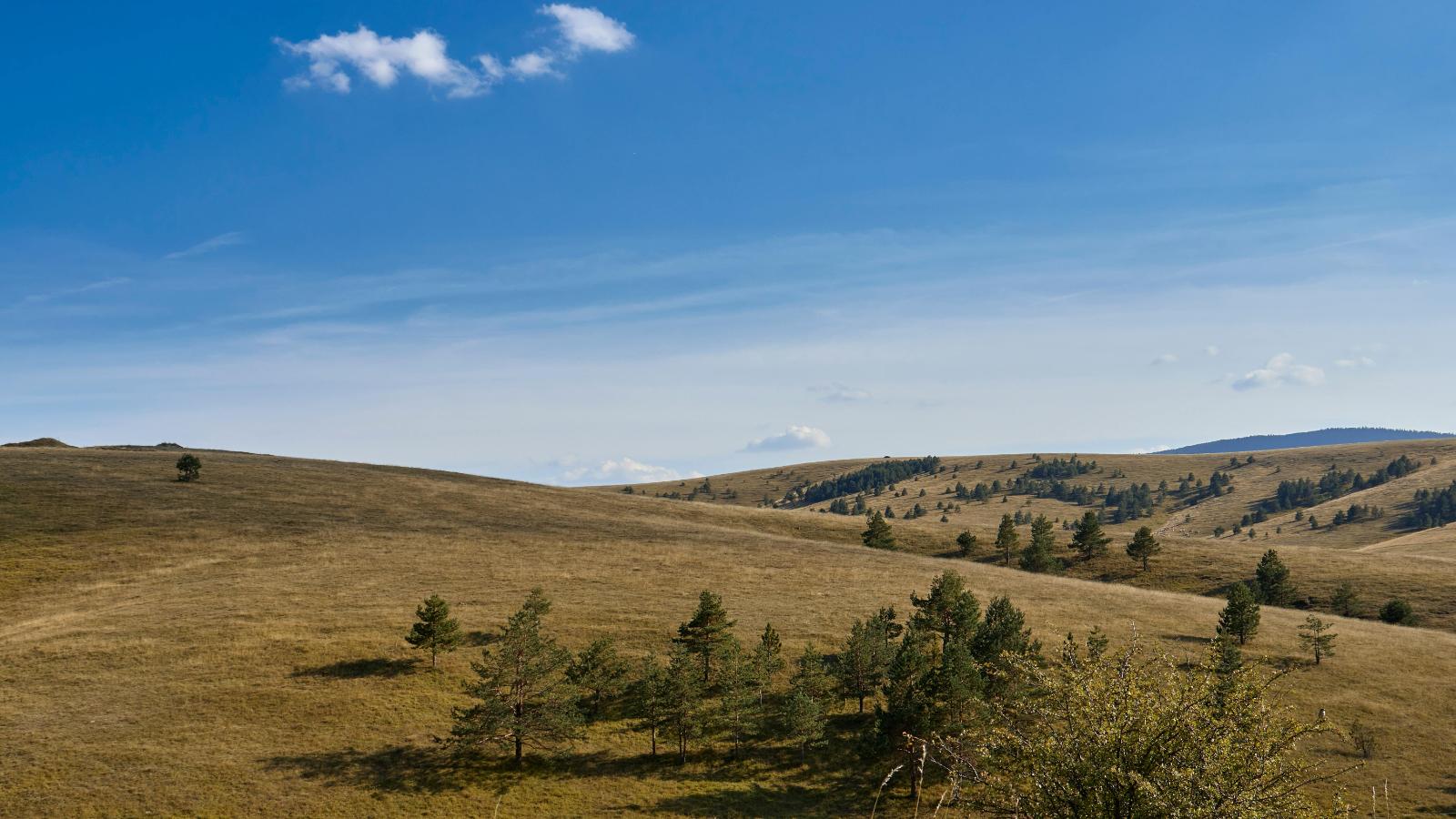 Zlatibor priroda